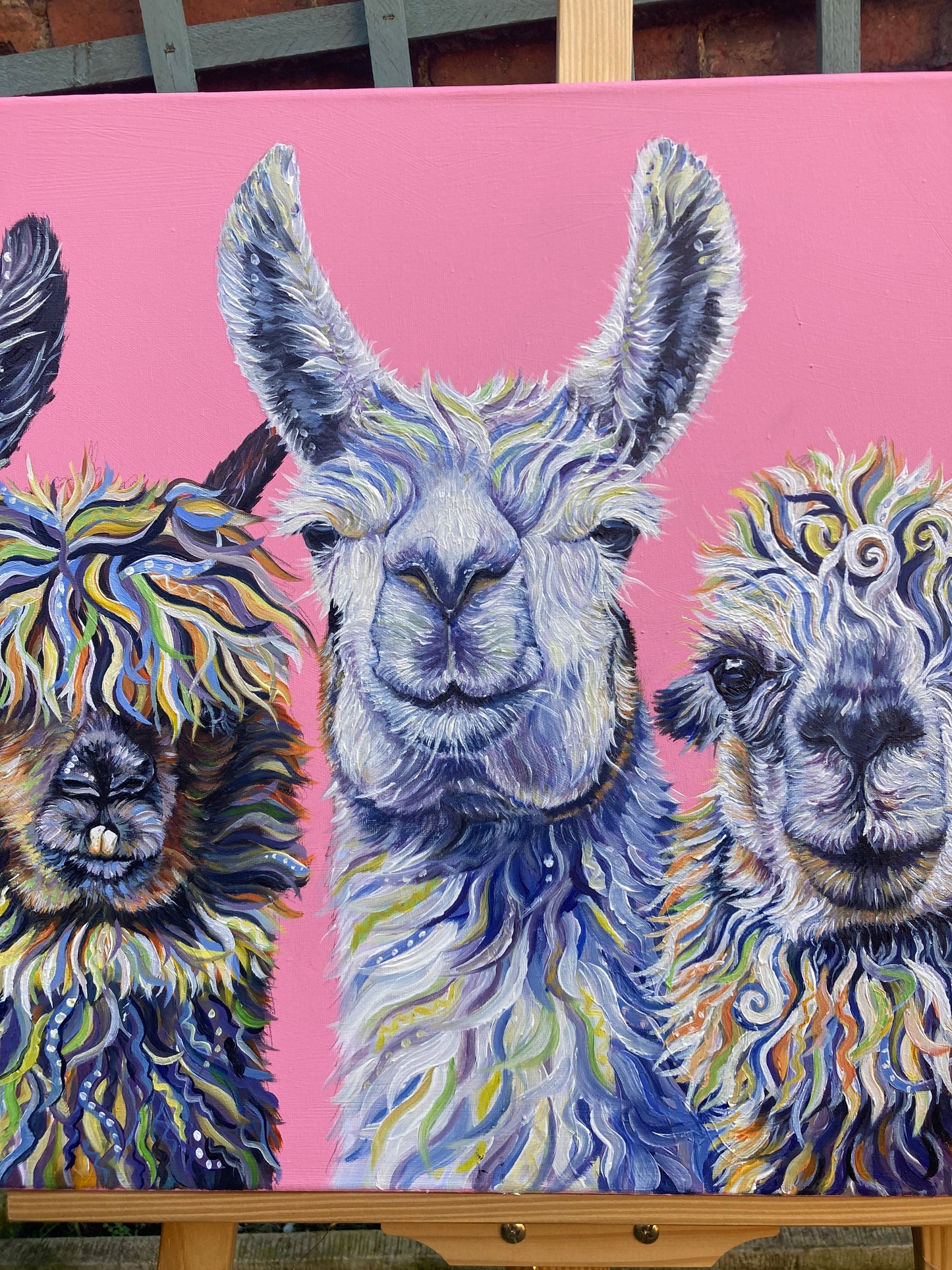 Llama Drama - Hand embellished, limited edition canvas print