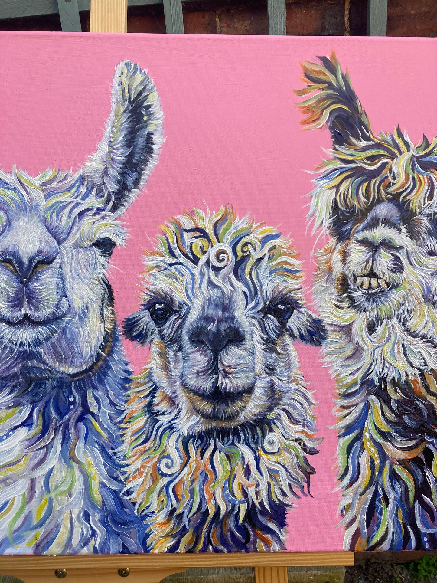 Llama Drama - Hand embellished, limited edition canvas print
