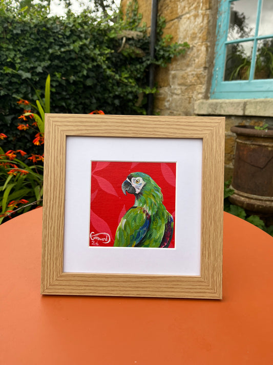 Pip the Parrot original painting