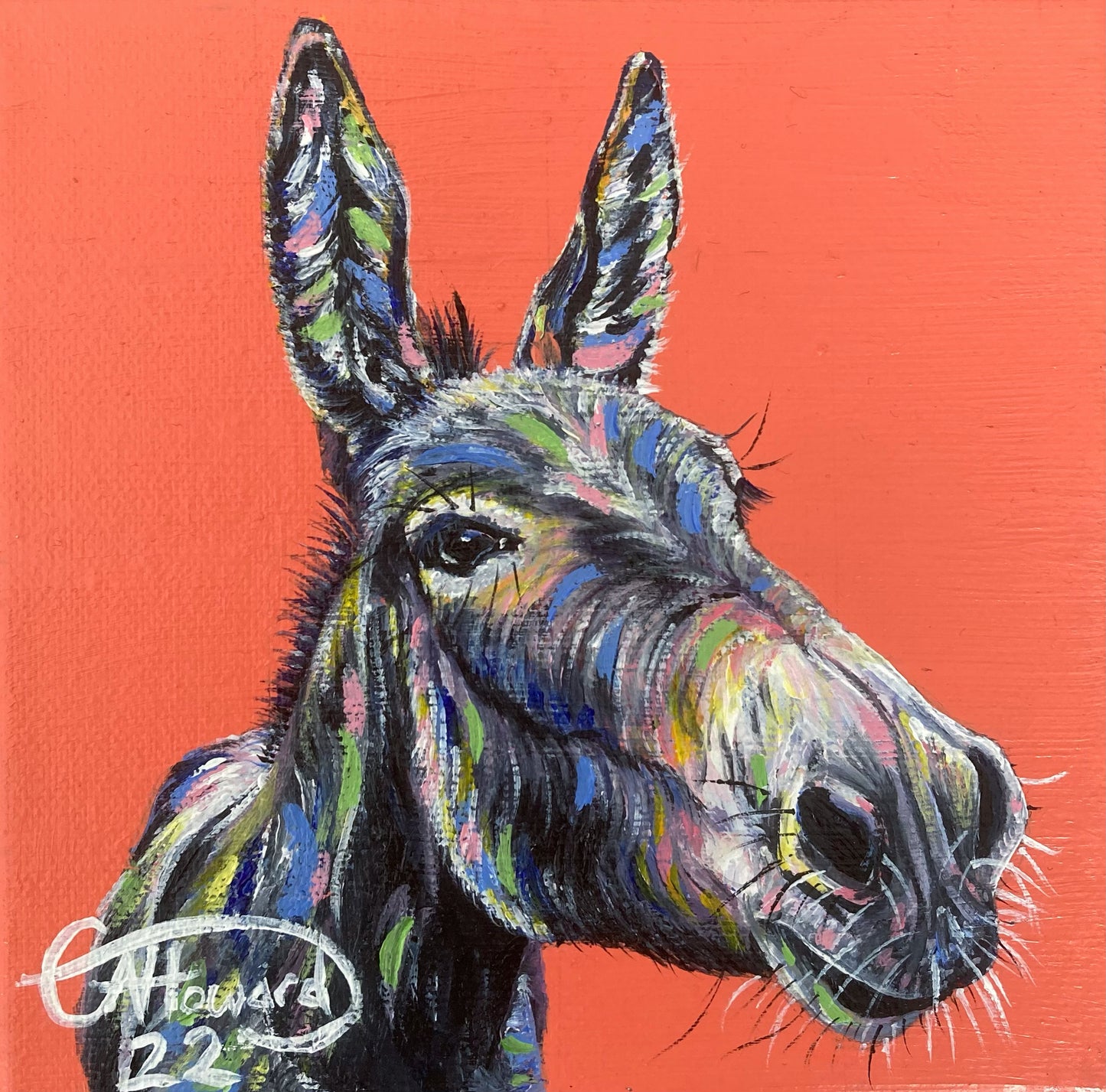 Donkey Greeting card