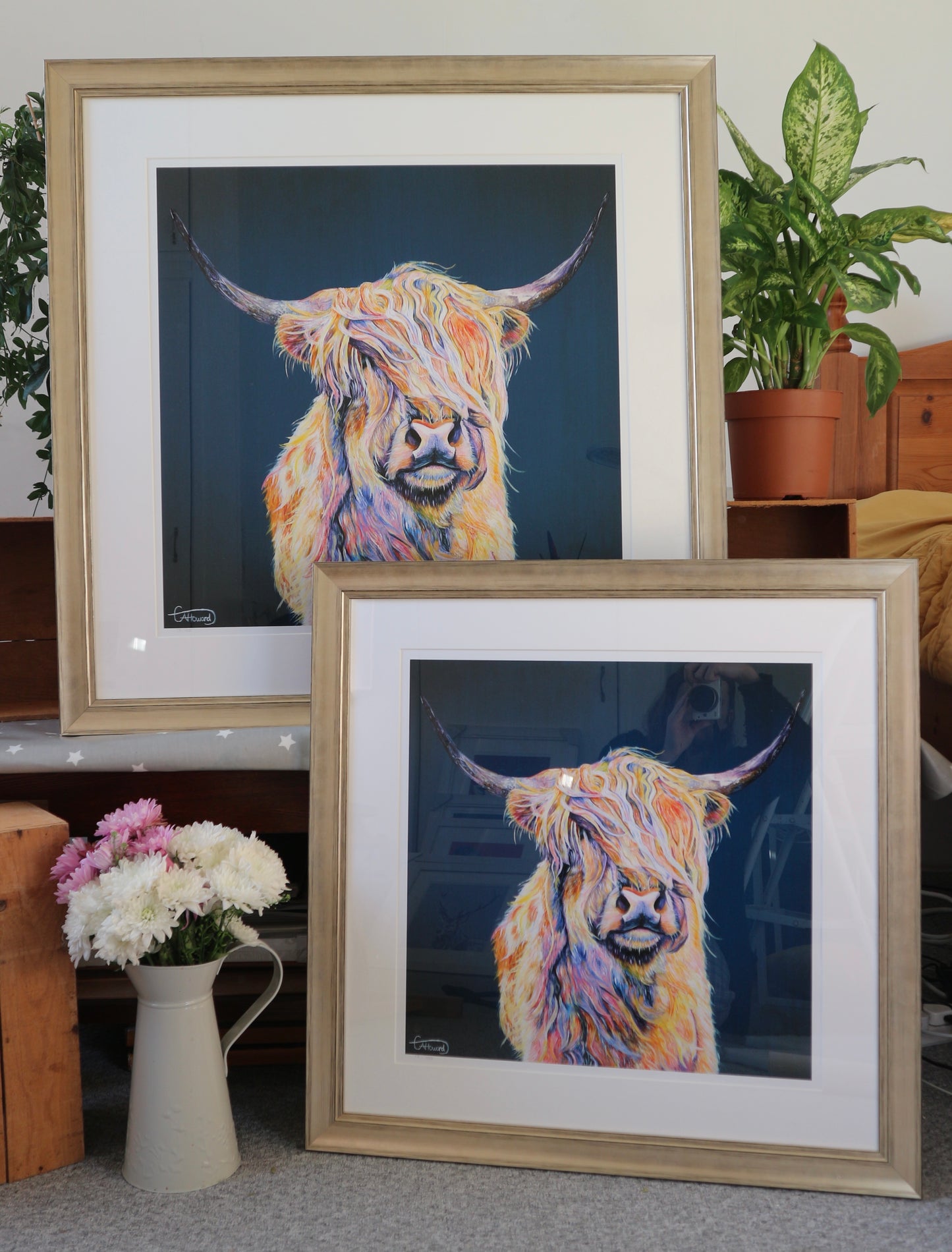 Hamish the Highland Cow - limited edition, giclée print, unmounted