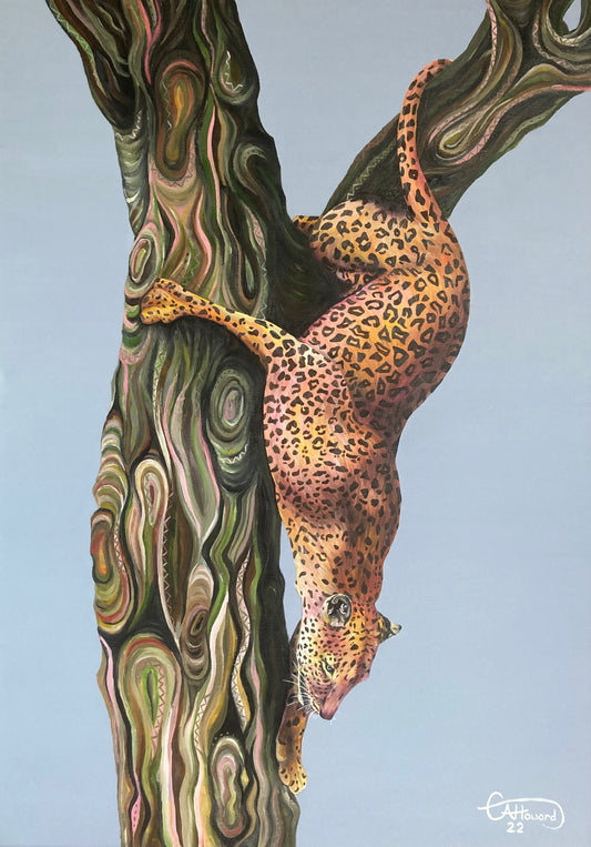 Kojo the leopard - limited edition, giclée print. unmounted