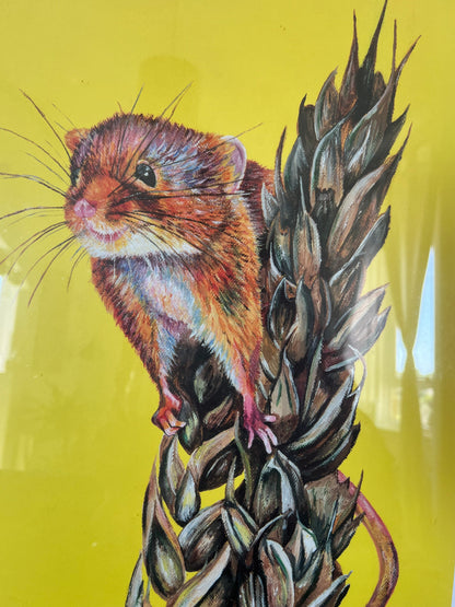 'Charlotte the harvest mouse' limited edition FRAMED giclée print