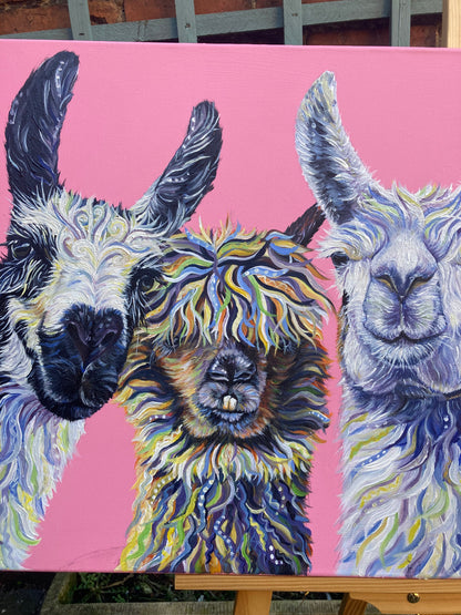 Llama Drama - Hand embellished, limited edition canvas print